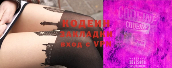 молекула духа Бородино