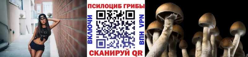 продажа наркотиков Дюртюли Галлюциногенные грибы мицелий